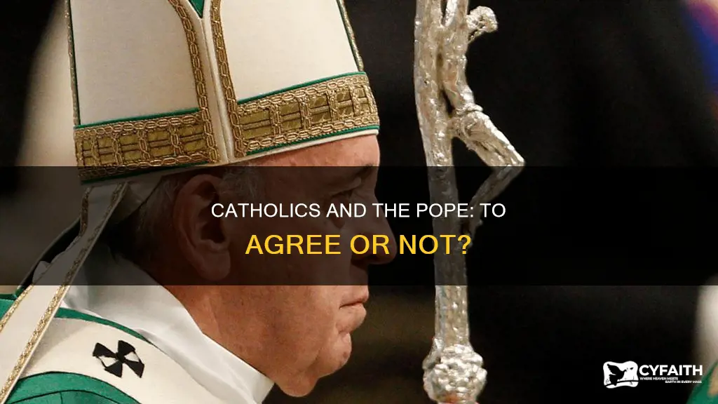 do catholics have to agree with the pope