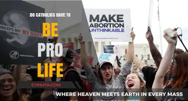 Catholics and Pro-Life: What's the Real Deal?