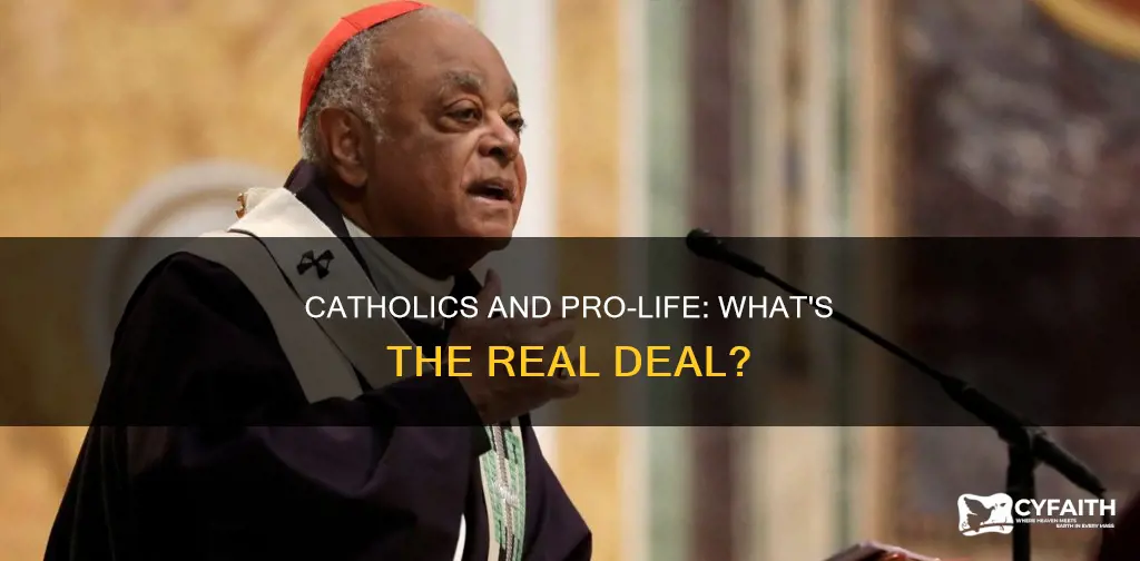 do catholics have to be pro life