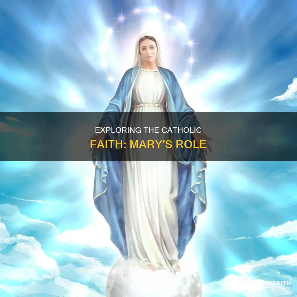 do catholics have to belive in mary