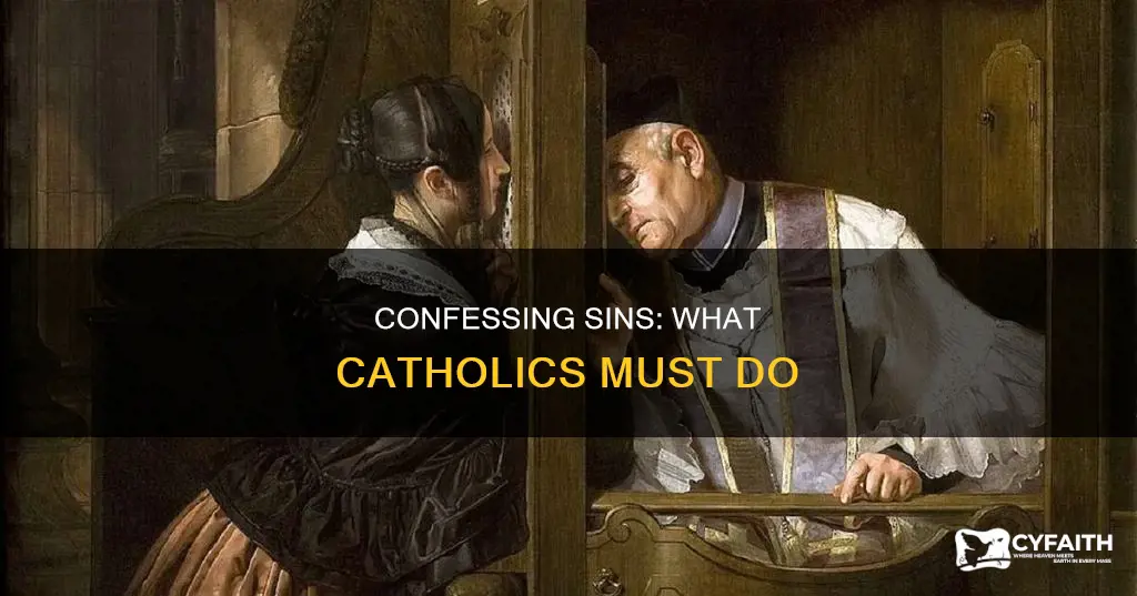 do catholics have to confess all sins