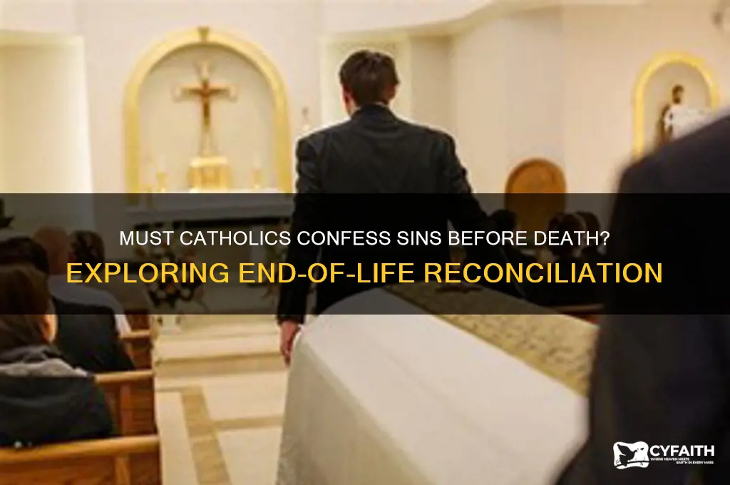 do catholics have to confess thier sins before they die