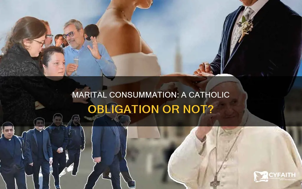 do catholics have to consummate marriages