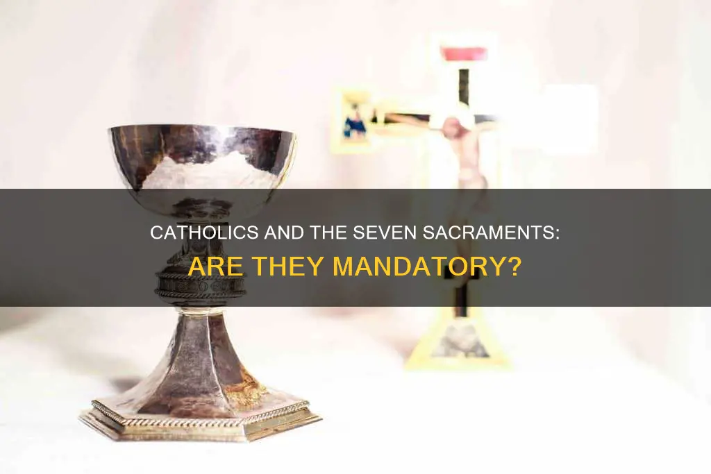 do catholics have to do 7 sacraments