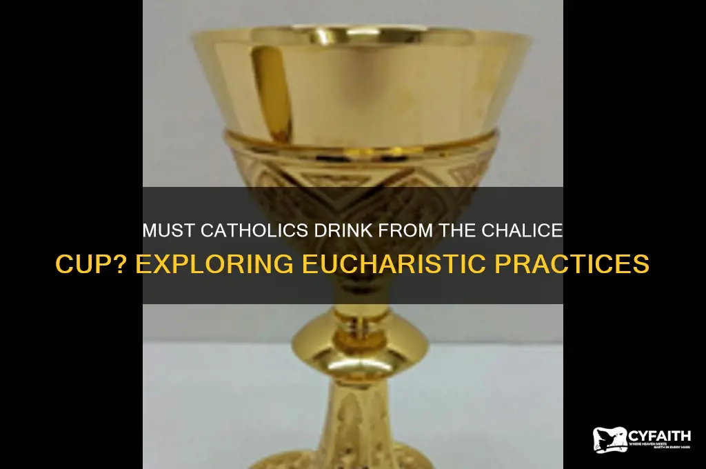 do catholics have to drink from the chalice cup