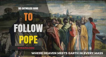 Catholics and the Pope: Who Decides?