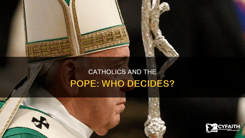 do catholics have to follow pope