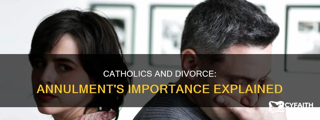 do catholics have to get divorced and annulled