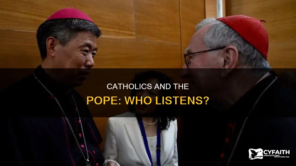 do catholics have to listen to the pope