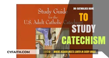 Catholics Studying Catechism: Is It Mandatory?