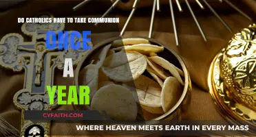 Annual Communion Obligation: What Catholics Need to Know