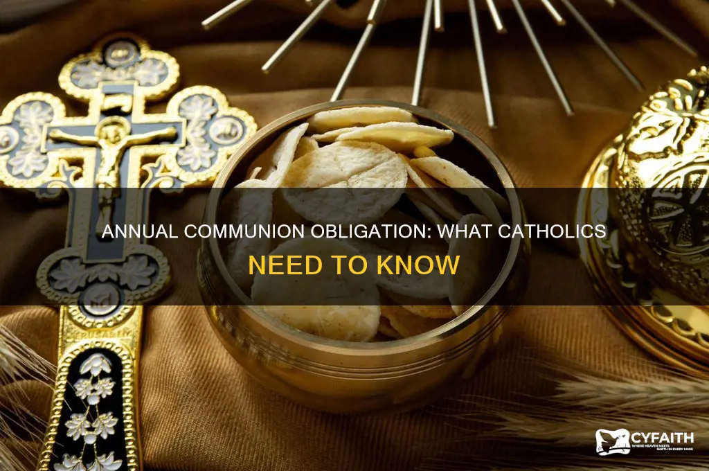 do catholics have to take communion once a year