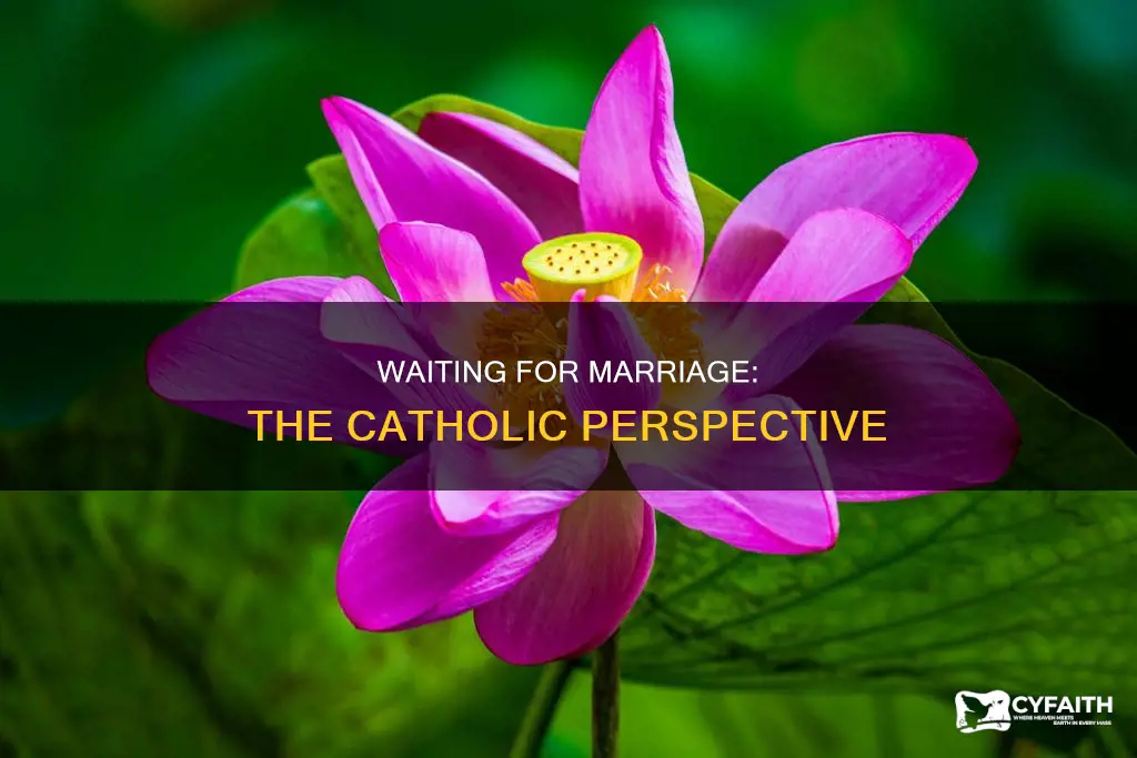 do catholics have to wait till marriage