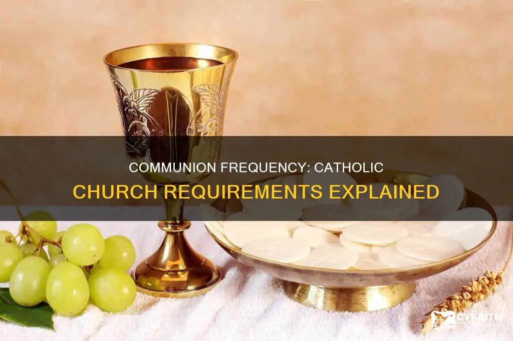 do catholics havetotake communion once a year