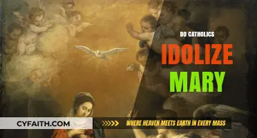 Do Catholics Idolize Mary? Exploring Devotion vs. Worship