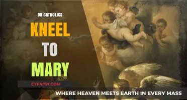Do Catholics Kneel to Mary? Exploring Devotion and Misconceptions