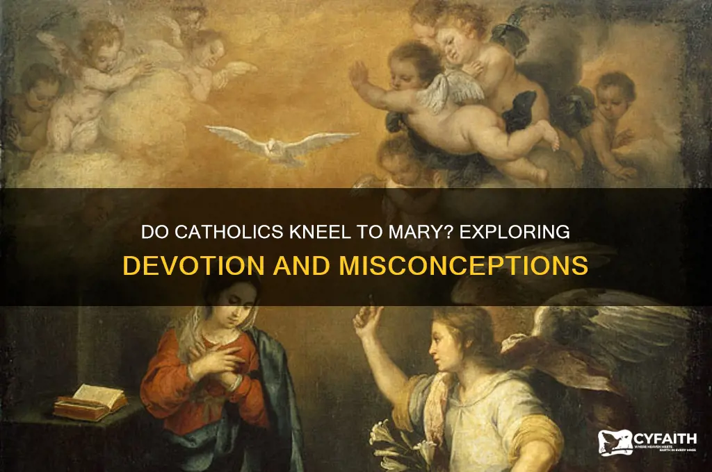 do catholics kneel to mary