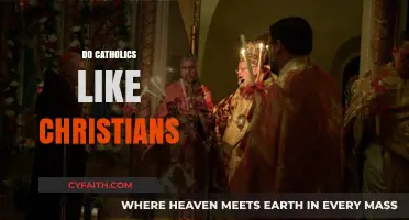 Understanding the Relationship Between Catholics and Christians: A Faith-Based Exploration