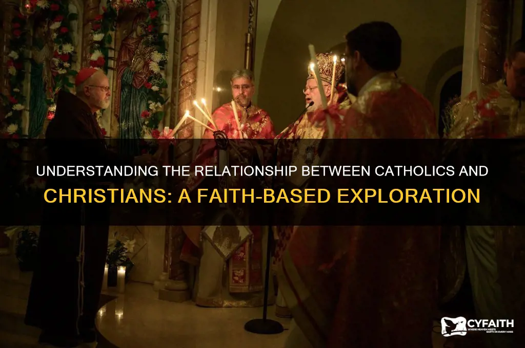 do catholics like christians