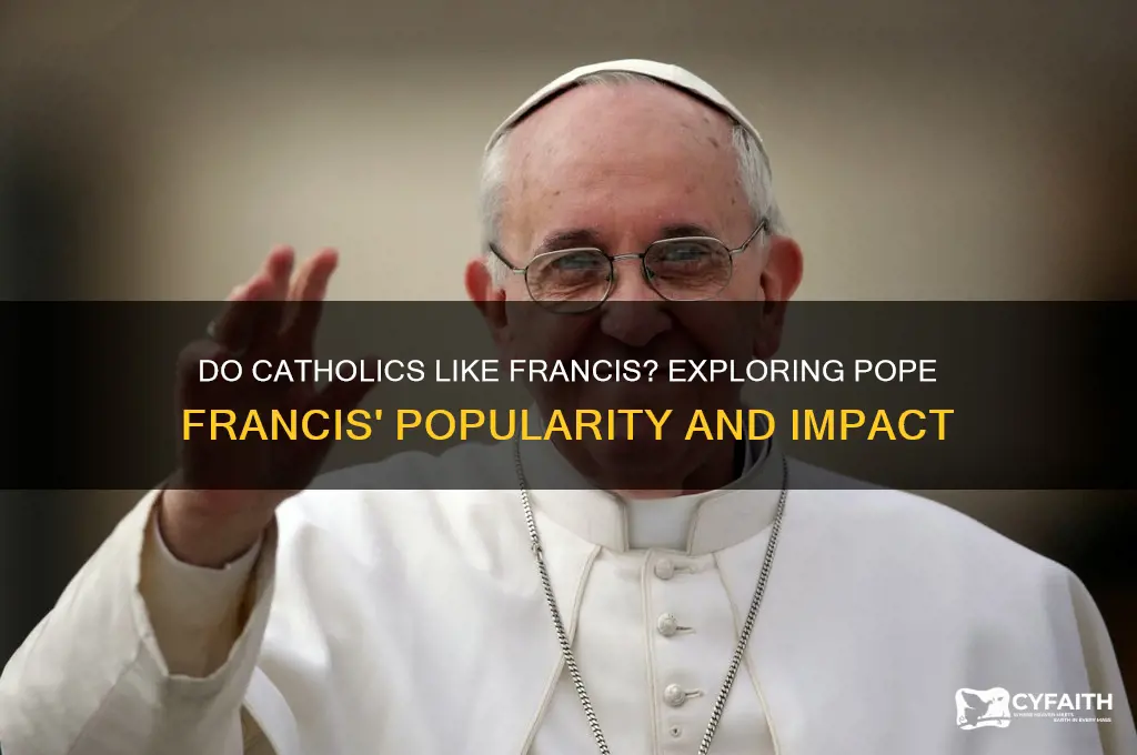 do catholics like francis