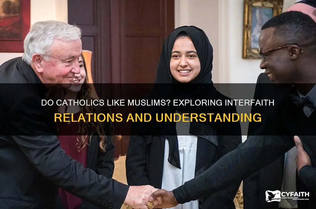 do catholics like muslims