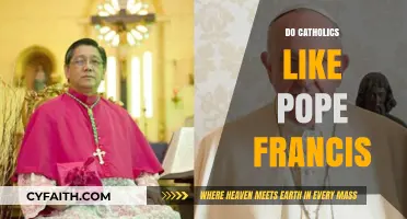 Pope Francis' Popularity: How Catholics View His Leadership and Reforms