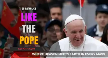 Do Catholics Like the Pope? Exploring Faith, Loyalty, and Perspectives