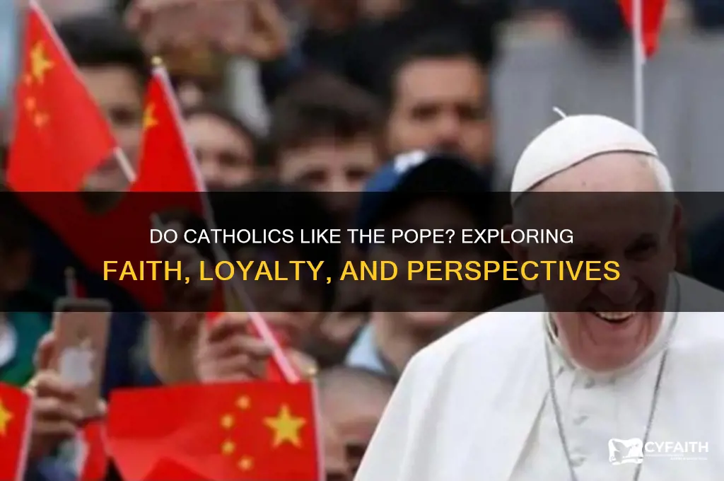do catholics like the pope