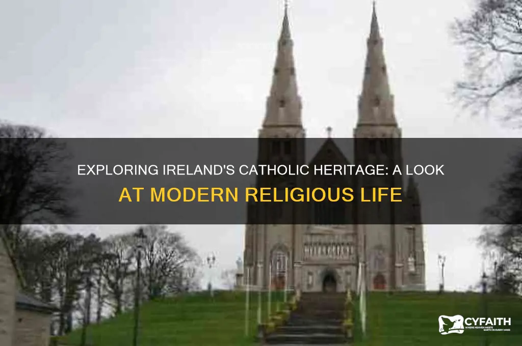 do catholics live in ierland