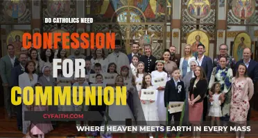 Confession and Communion: Catholic Requirements Explored