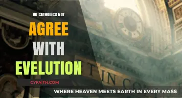Catholics and Evolution: A Complex Relationship