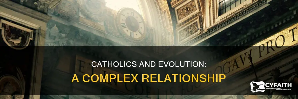 do catholics not agree with evelution