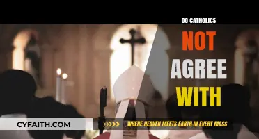 Do Catholics Disagree With Modern Issues and Practices?