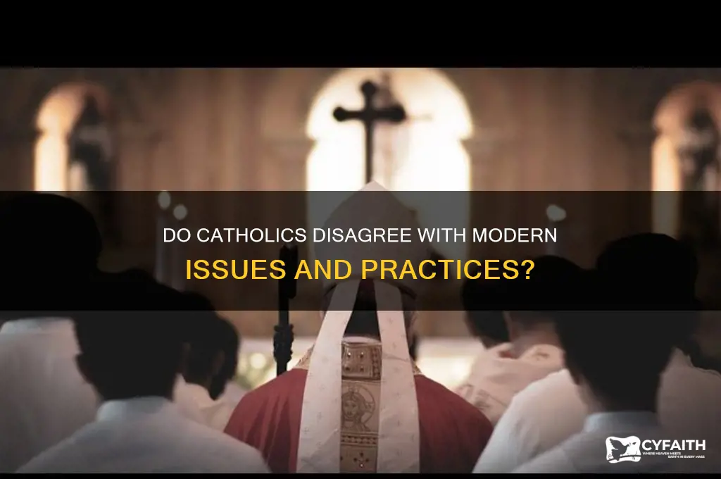 do catholics not agree with