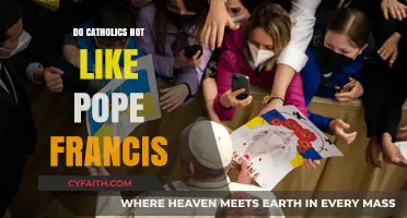 Why Do Some Catholics Dislike Pope Francis?