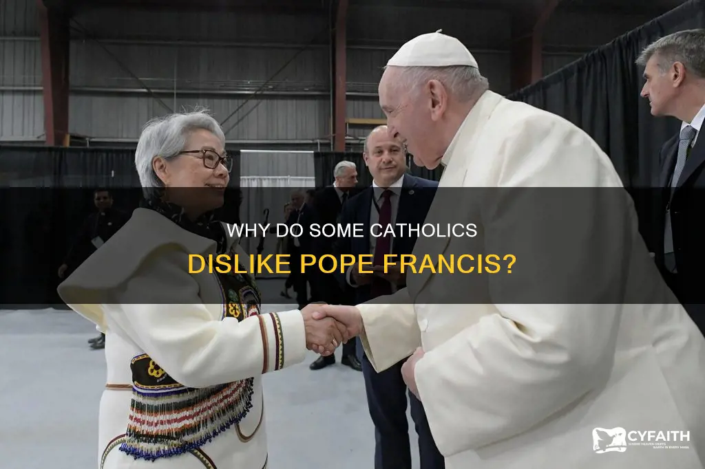 do catholics not like pope francis