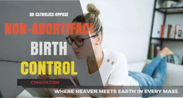 Catholics and Birth Control: What's Allowed?