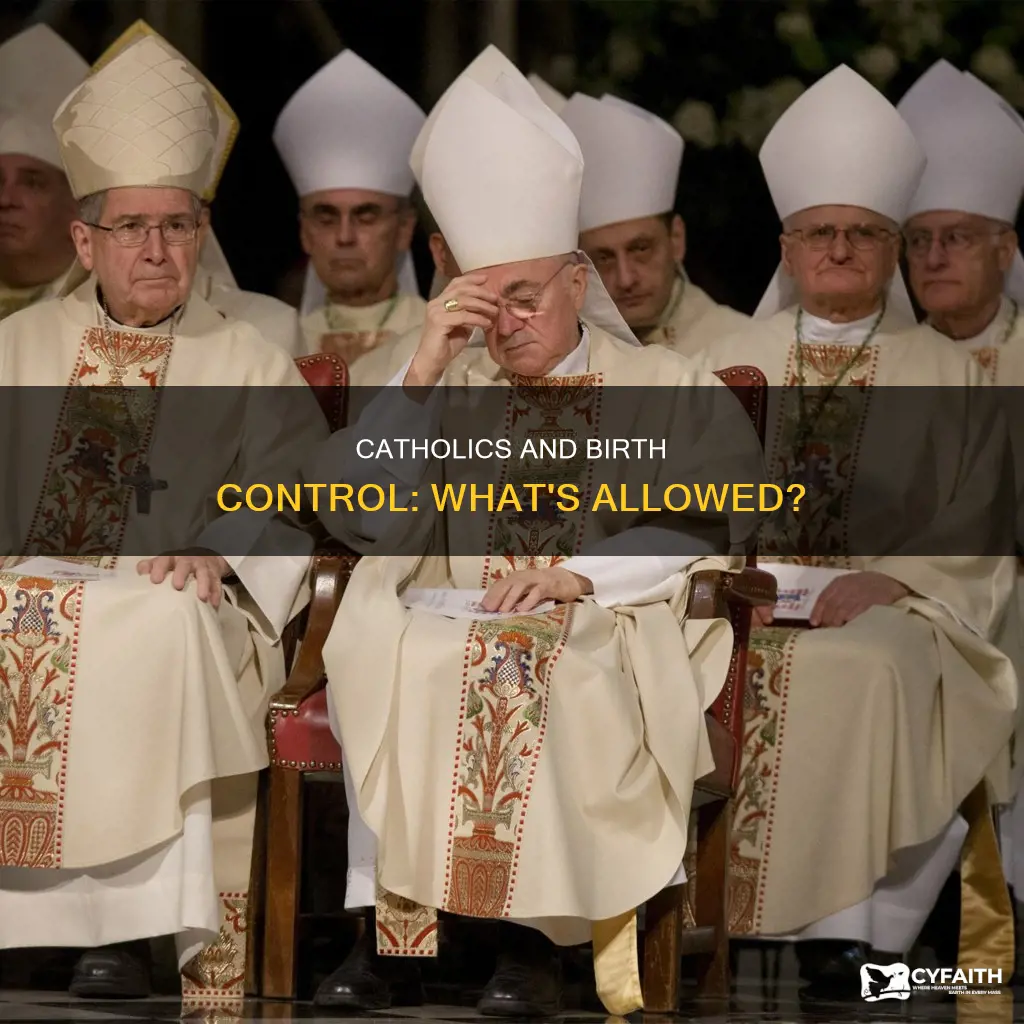 do catholics oppose non-abortifacient birth control
