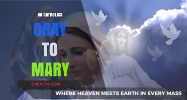 Do Catholics Pray to Mary? Understanding Marian Devotion in Catholicism