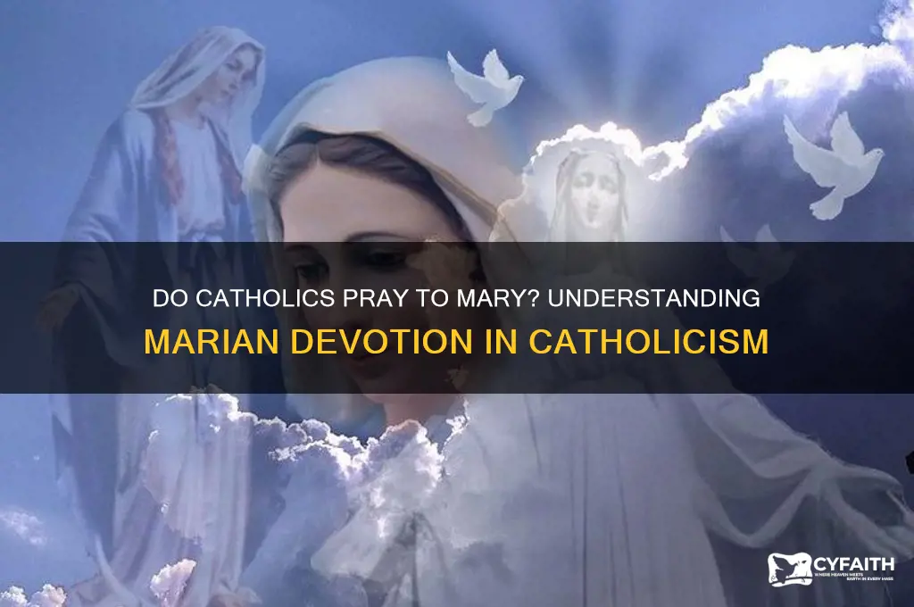 do catholics oray to mary