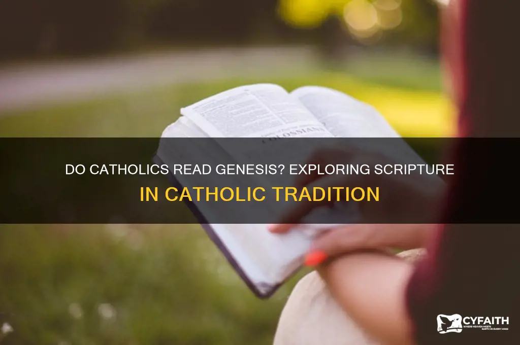 do catholics read genesis