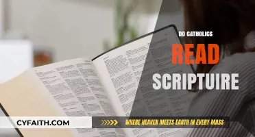Do Catholics Read Scripture? Exploring Faith and Sacred Texts
