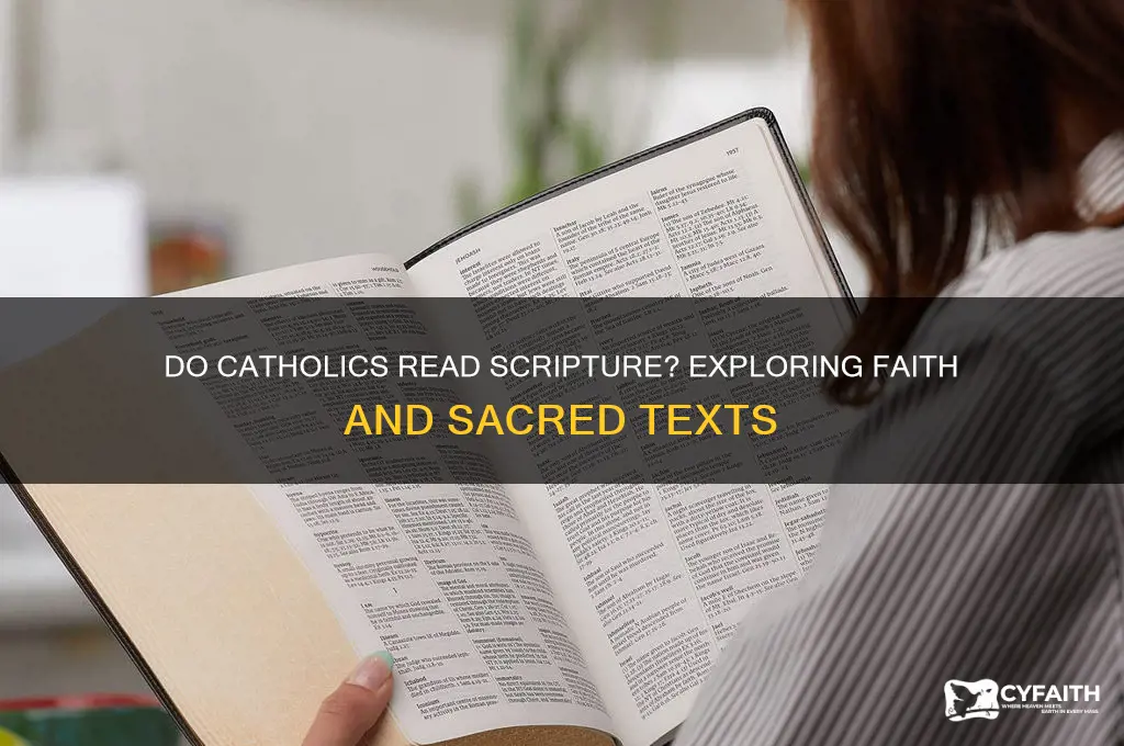 do catholics read scriptuire