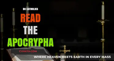 Do Catholics Read the Apocrypha? Exploring Scriptural Traditions and Practices