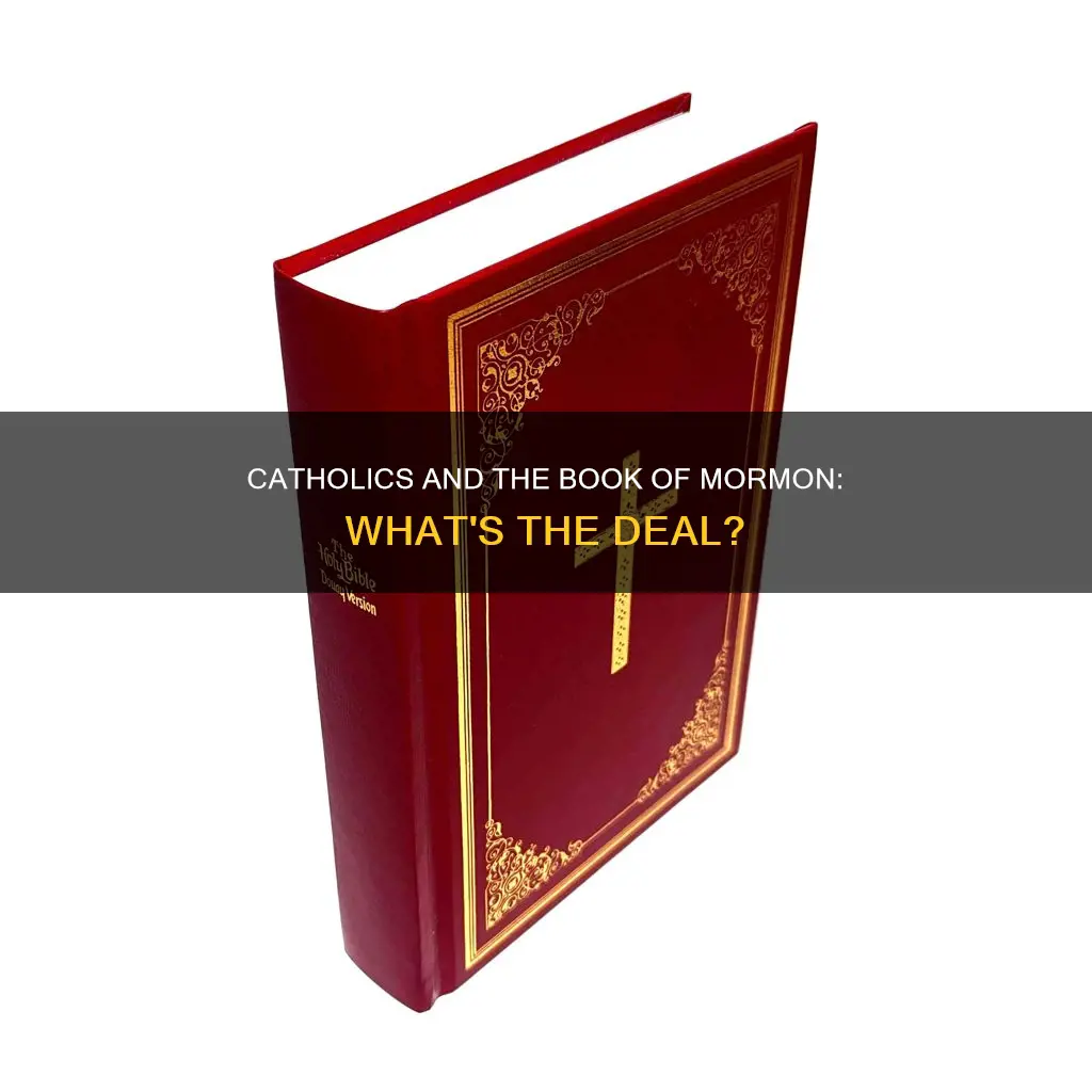 do catholics read the book of mormon