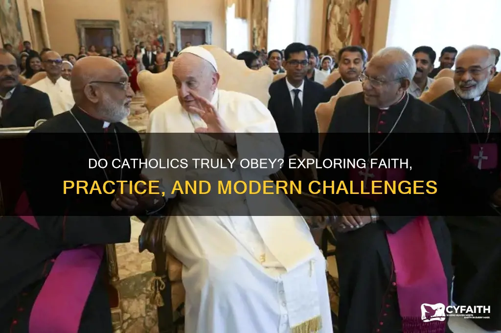 do catholics really obey