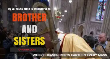 Are Catholics Truly Brothers and Sisters? Exploring Catholic Fraternal Identity