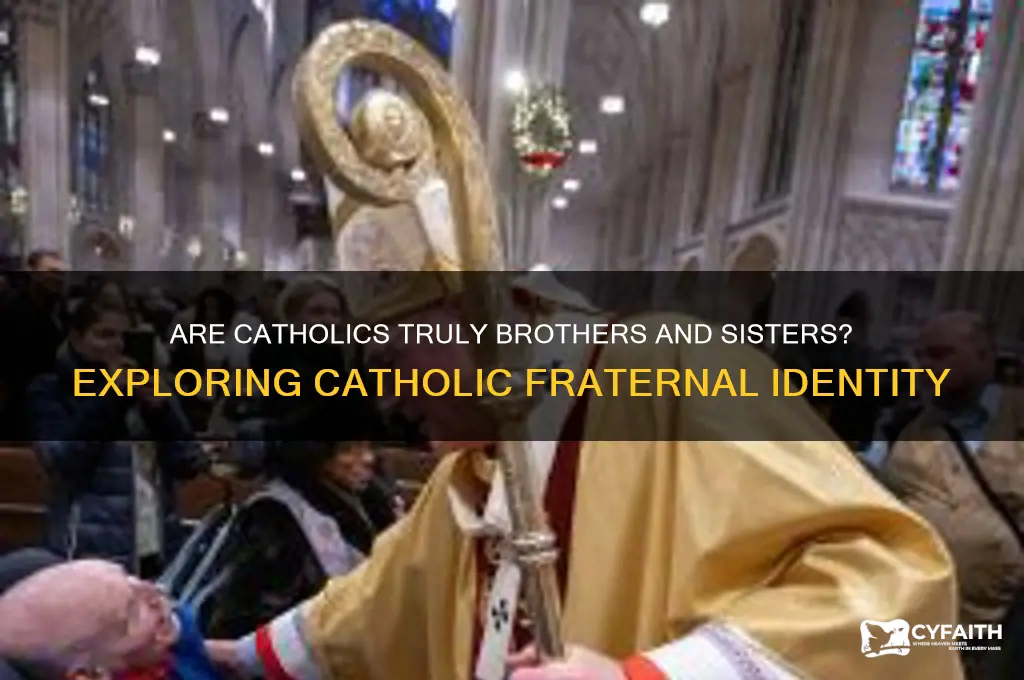 do catholics refer to themselves as brother and sisters