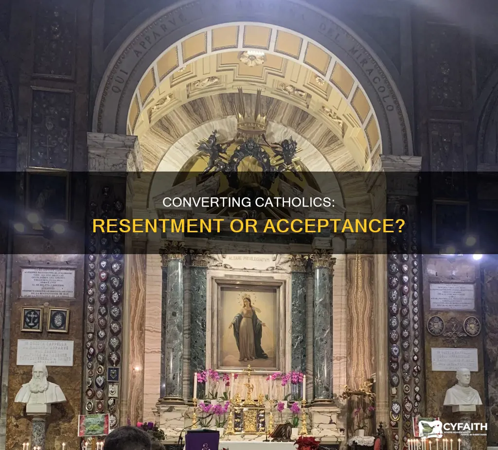 do catholics resent an attempt to convert them