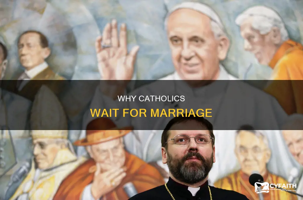 do catholics save sex for marriage